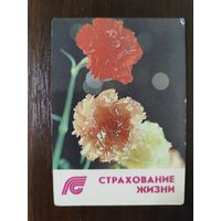 Календарик страхование