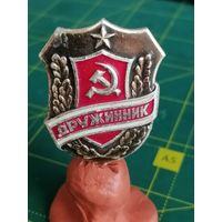 Значёк дружинник