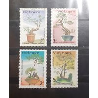 Вьетнам. Флора. Икебана (268)