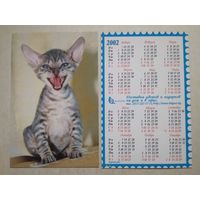Карманный календарик . Котик. Белпочта. 2002 год