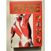 Анатомический атлас. Основы строения и физиологии человека