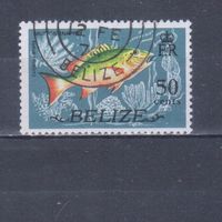 [2087] Белиз 1974. Фауна.Рыба.50с. Гашеная марка.