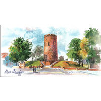 Почтовая карточка "Камянецкая вежа. Брэсцкая вобл."