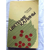 25-31 Владимир Глушаков Цветение калины Минск 1987