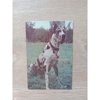 Календарик 1993