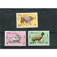 Ливан. Фауна. Домашние животные