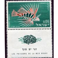 Израиль. Фауна. Рыбы Красного моря