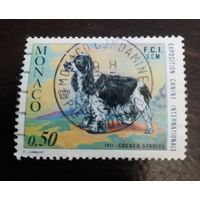 Монако 1971 Собаки