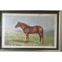 Литография 1955 год оригинал