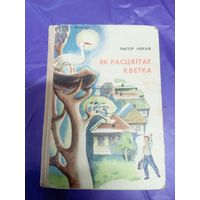 Р.Няхай"Як расцвiтае кветка"\018