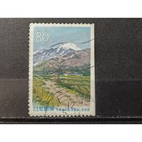 Япония, 2000. Весна в Азумино. Живопись