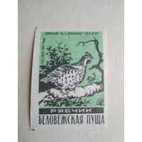 Спичечные этикетки ф.Пинск. Беловежская пуща