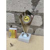 СИРИУС кубок