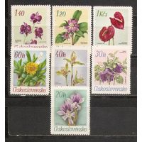 ФФ1 Чехословакия 1967 Цветы