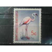 Юго-западная Африка, колония Англии, 1961. Малый фламинго