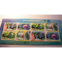 Марки РБ. Аквариумные рыбки. Блок.