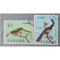 Панама птицы 2шт