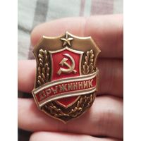 Дружинник