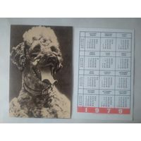 Карманный календарик. Собака.1979 год