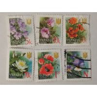 Шесть марок пятого и шестого стандартного выпуска 2006 года - Барвинок (Vinca), Мальва (Malva), Бархатцы (Tagetes), Кувшинка (Nymphaea alba), Мак (Papaver somniferum), Фиалка (Viola odorata)