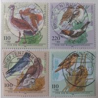 Германия. 1998г. Фауна. Птицы.