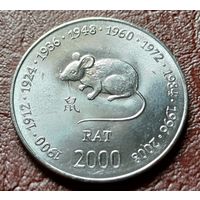 Сомали 10 шиллингов, 2000   год крысы     ( 1-11-6 )