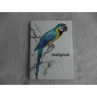 Комплект открыток. Попугаи. Художник Альбова Н., автор текста Рахманов А. М. Изобразительное искусство 1981г. 16 открыток в упаковке.