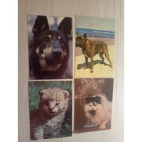 Календарики одним лотом