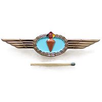 Национальная народная армия ГДР. Знак классификации военнослужащего парашютно-десантной службы. 3 класс