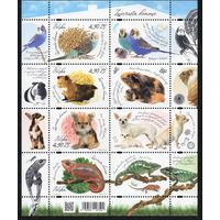 Польша 2025. Фауна. Домашние животные