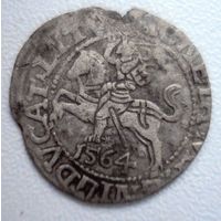 Полугрош 1564 года.