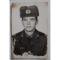 Фото в коллекцию