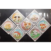 Монголия. 1985 год. Флора. Грибы (957)