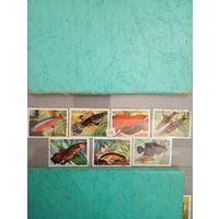 Фауна на почтовых марках