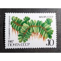 Марка СССР 1987 год Папоротник