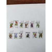 Беларусь  2025  12 м   стандарт