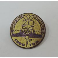 Значок "Школа номер 161. Красноярск-45. 20-й выпуск. 1980 г." Латунь.