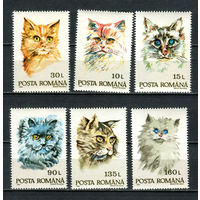 Румыния - 1993 - Коты - [Mi. 4885-4890] - полная серия - 6 марок. MNH.  (Лот 43Jp)-T4P17