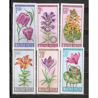 ФФ1 Венгрия 1966 Цветы