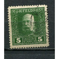 Австро-Венгрия - Полевая почта (Feldpost) - 1915/1917 - Кайзер Франц Иосиф 5H - [Mi.25A] - 1 марка. Гашеная.  (Лот 3Js)-T25P1