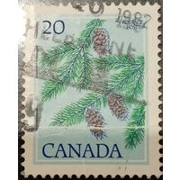 Канада 1982. Сосна