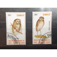 Бурунди. 2011 год. Фауна. Птицы (393)