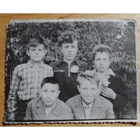 Фото в коллекцию