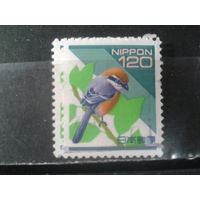 Япония, 1998. Стандарт. Птица