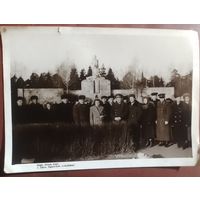 Фото в коллекцию