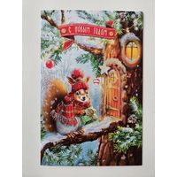 Белка С новым годом Дед мороз