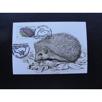 Продажа коллекции с 1 рубля! КПД Беларуси.