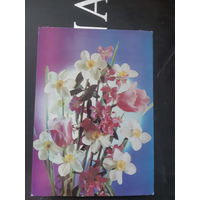 Костенко Цветы