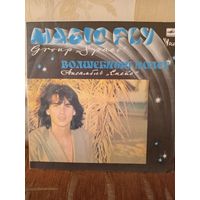 Виниловая пластинка