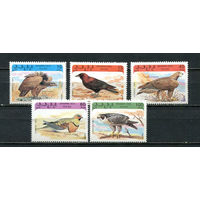 Сахара - 1993 - Птицы - 5 марок. MNH.  (Лот 51Jp)-T4P26